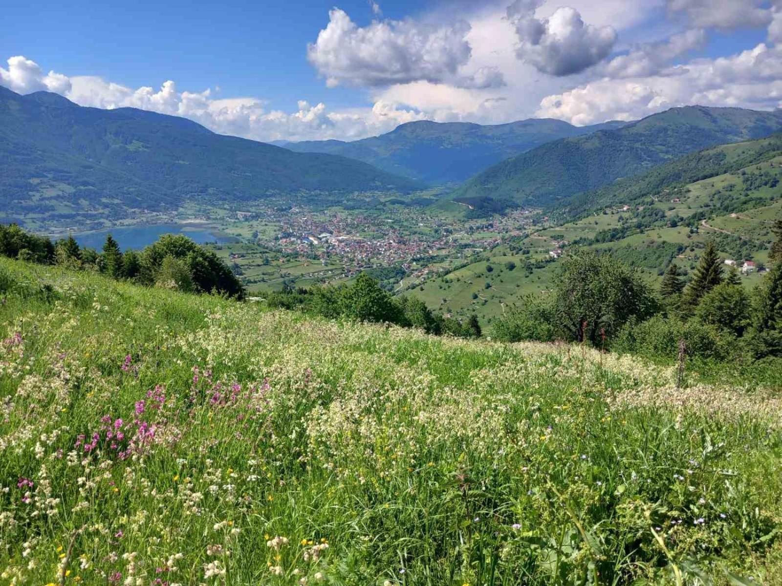 Viewpoint Kofiljaca Bed and Breakfast Plav Buitenkant foto